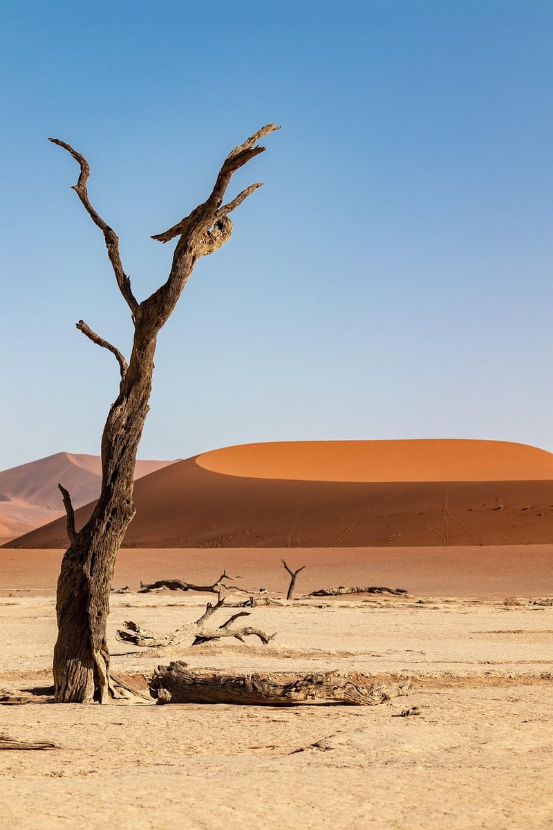 Desert Sand Dunes